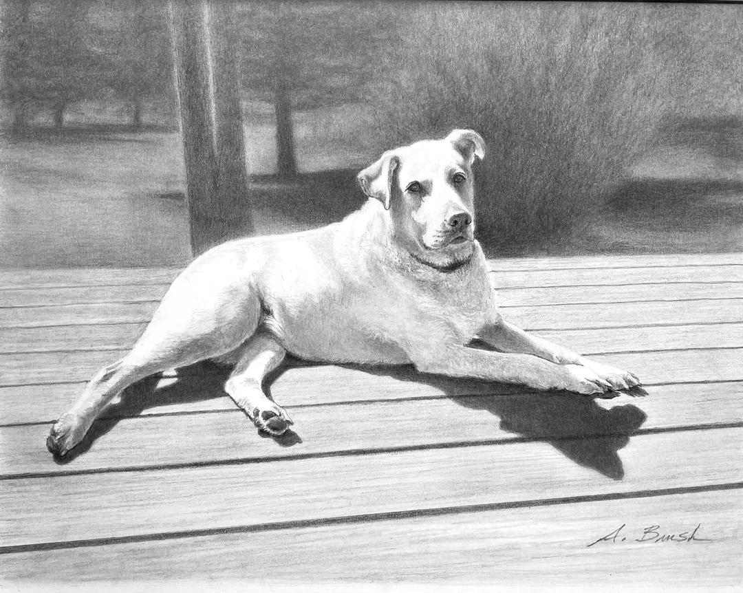 Image description