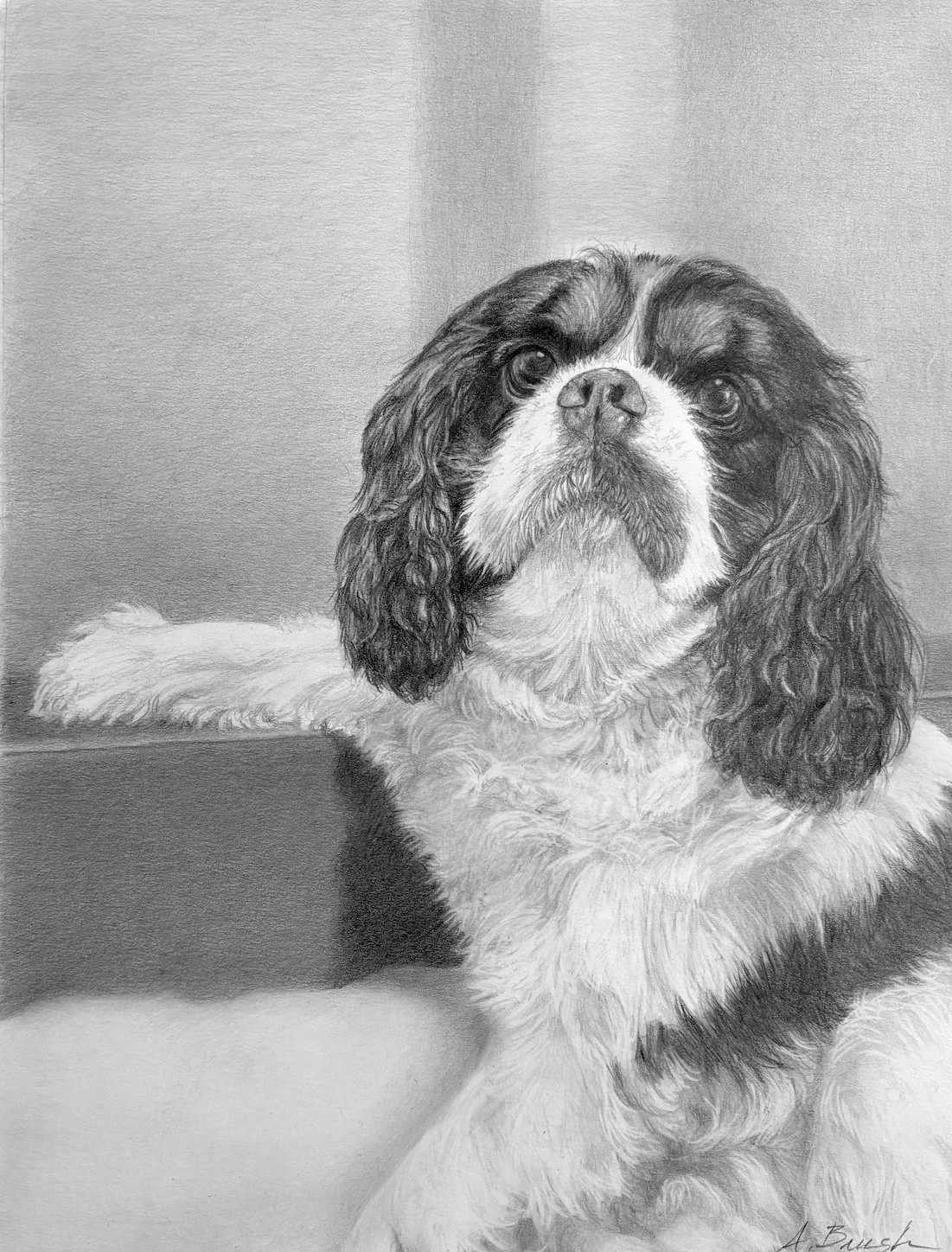 Image description