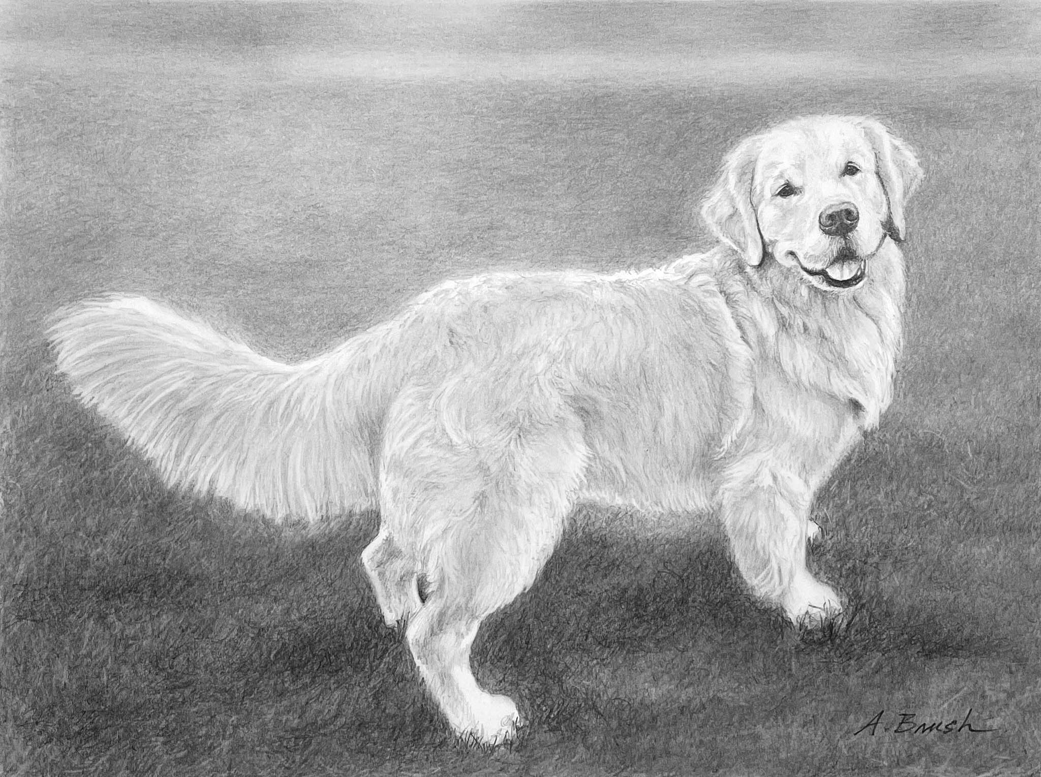 Image description