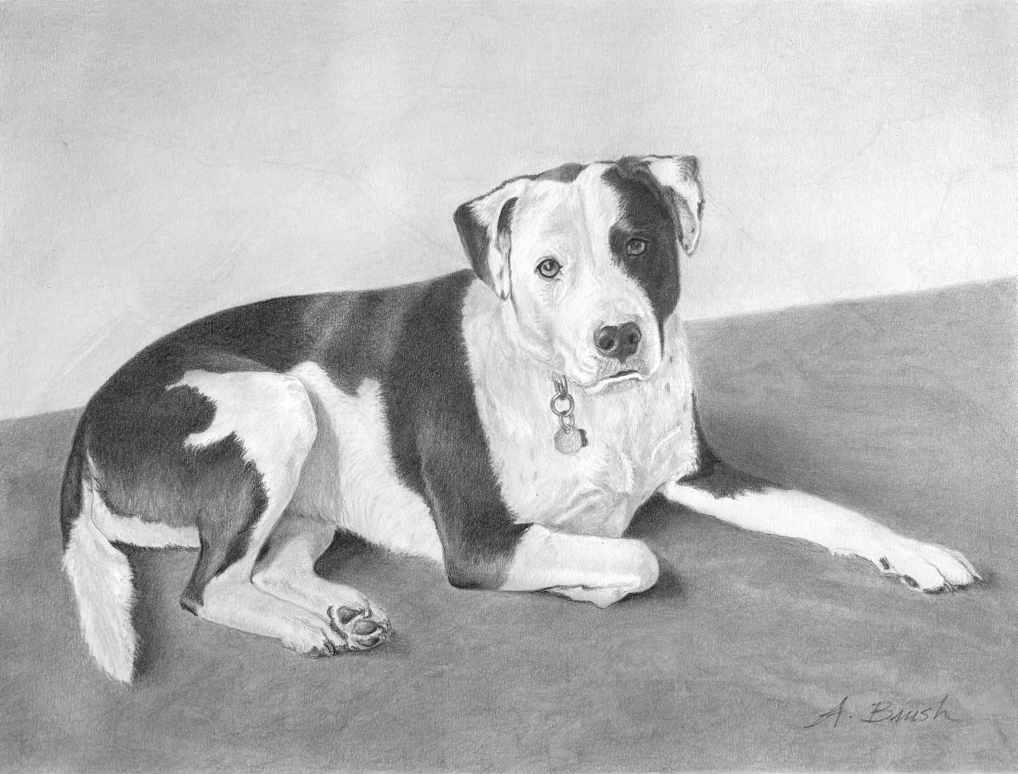 Image description