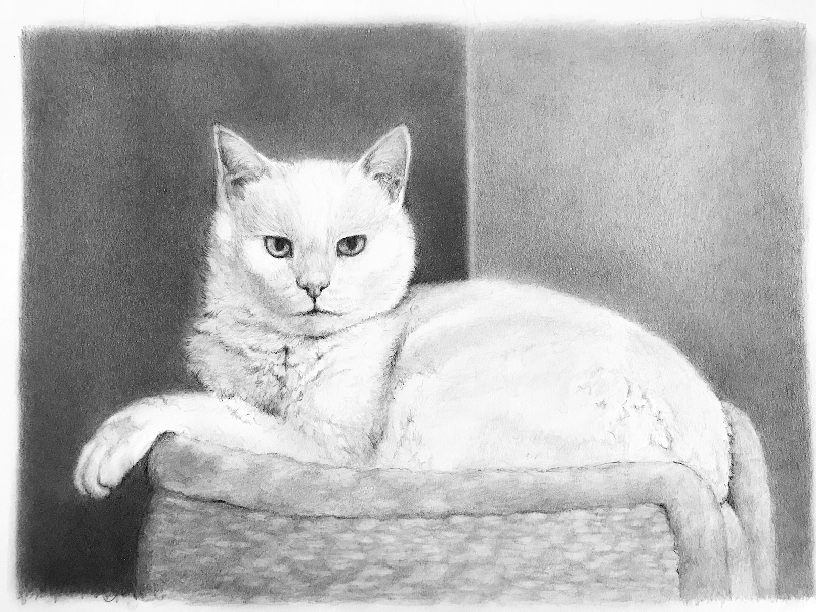 Image description